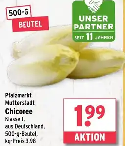 Wasgau Chicoree Angebot