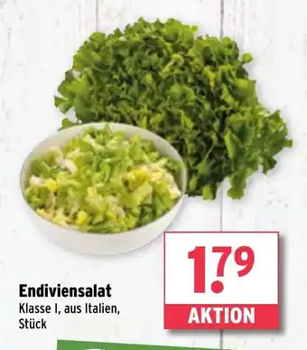 Wasgau Endiviensalat Angebot