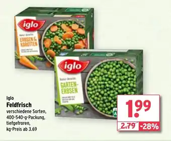 Wasgau iglo Feldfrisch Angebot