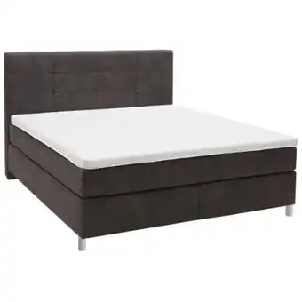 XXXLutz Voleo Boxspringbett Angebot