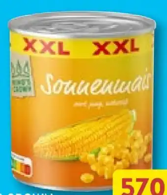 Aldi Nord King's Crown Sonnenmais XXL Angebot