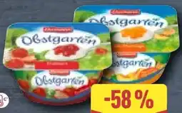 Aldi Nord Ehrmann Obstgarten Angebot