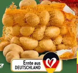 Aldi Nord Speisekartoffeln Angebot