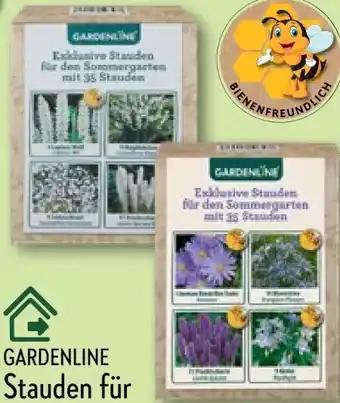 Aldi Nord Gardenline Stauden Angebot