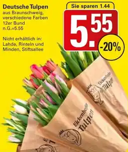 WEZ Deutsche Tulpen Angebot