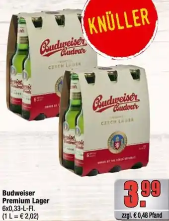 Profi Getränke Budweiser Premium Lager Angebot