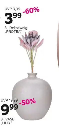 Mömax Vase „lilly“ oder dekozweig „protea Angebot