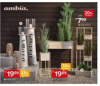 XXXLutz Ambia home dekogras, windlicht oder pflanztopf Angebot