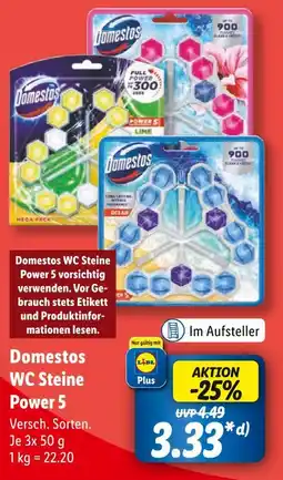 Lidl Domestos wc steine power 5 Angebot