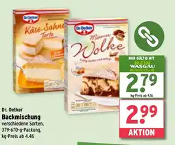 Wasgau Dr. Oetker Backmischung Angebot