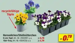 toom Baumarkt Hornveilchen/Stiefmütterchen Angebot