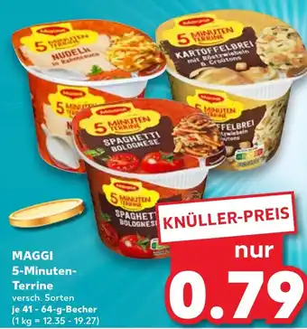 Kaufland MAGGI 5-Minuten- Terrine Angebot