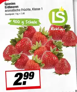 L. STROETMANN GROSSMARKT Spanien Erdbeeren Angebot