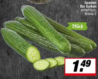 L. STROETMANN GROSSMARKT Spanien Bio Gurken Angebot