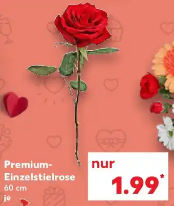 Kaufland Premium- Einzelstielrose Angebot