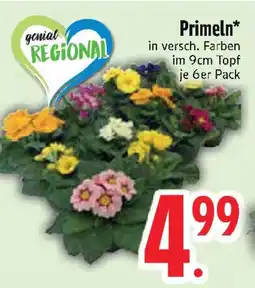 Edeka Primeln Angebot