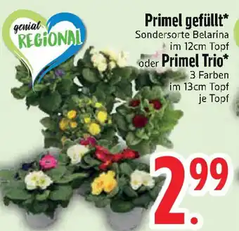 Edeka Primel gefüllt oder Primel Trio Angebot