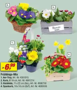 toom Baumarkt Frühlings-Mix Angebot