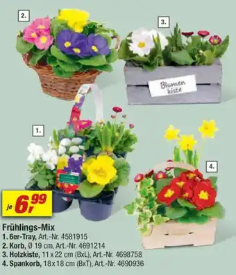 toom Baumarkt Frühlings-Mix Angebot