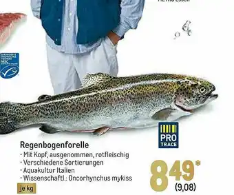 METRO Pro Trace Regenbogenforelle Angebot