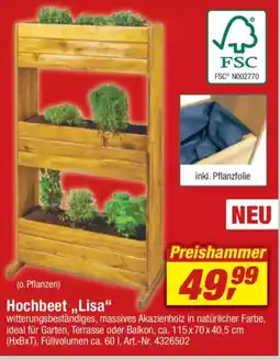 toom Baumarkt Hochbeet "Lisa" Angebot