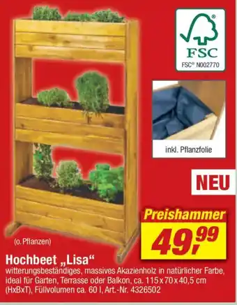 toom Baumarkt Hochbeet "Lisa" Angebot