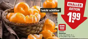 REWE REWE Beste Wahl Mandarinen Angebot