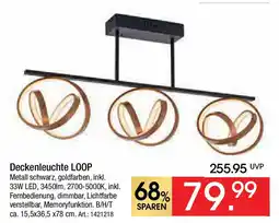 Zurbrüggen Deckenleuchte LOOP Angebot