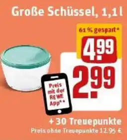 REWE Große Schüssel Angebot