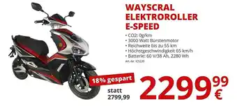 A.T.U. Wayscral Elektroroller E-speed Angebot