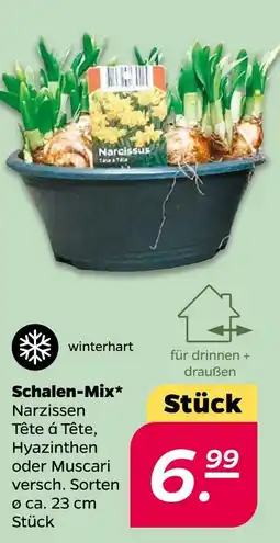 NETTO Schalen-mix Angebot