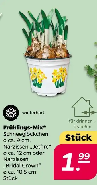 NETTO Frühlings-mix Angebot