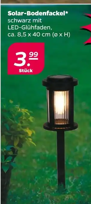 NETTO Solar-bodenfackel Angebot