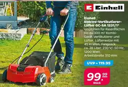 NETTO Einhell elektro-vertikutierer-lüfter gc-sa 1231/1 Angebot