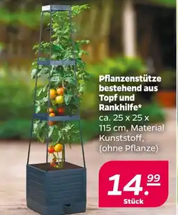 NETTO Pflanzenstütze Angebot