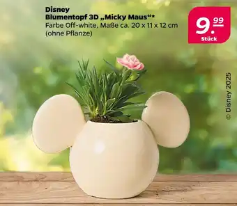 NETTO Disney blumentopf 3d micky maus Angebot