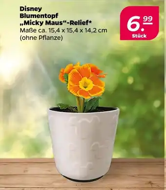 NETTO Disney blumentopf „micky maus“-relief Angebot