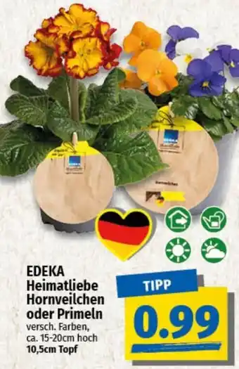 nah & gut EDEKA Heimatliebe Hornveilchen oder Primeln Angebot