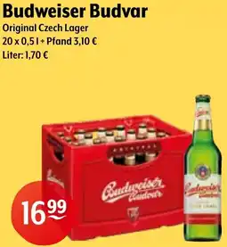 Trink und Spare Budweiser Budvar Angebot