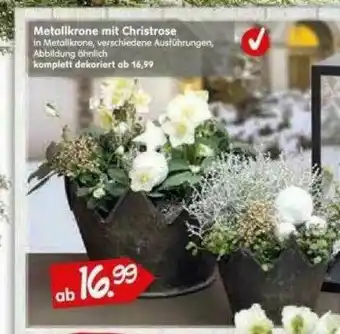 Blumen Risse Metalikrone Mit Christrose Angebot