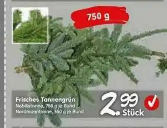 Blumen Risse Frisches Tannengrün Angebot