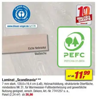 toom Baumarkt Laminat ,,Scandinavia" Angebot