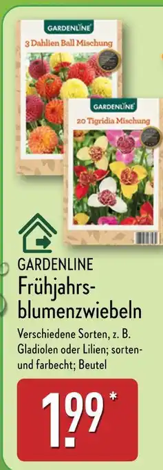 Aldi Nord Gardenline 3 dahlien ball mischung oder 20 tigridia mischung Angebot