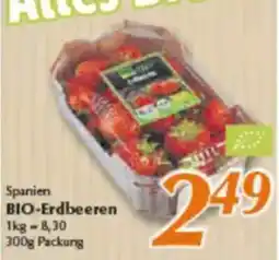 inkoop Spanien BIO-Erdbeeren Angebot