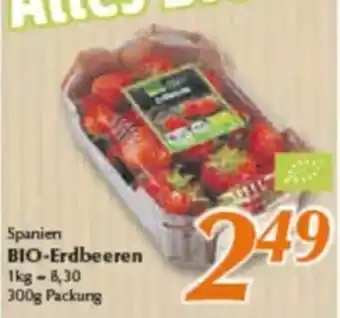 inkoop Spanien BIO-Erdbeeren Angebot