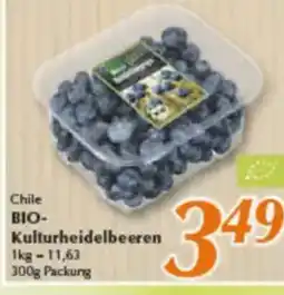 inkoop Chile BIO- Kulturheidelbeeren Angebot