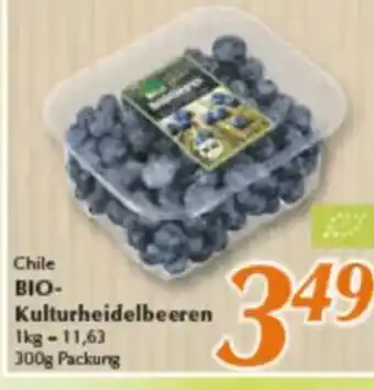 inkoop Chile BIO- Kulturheidelbeeren Angebot