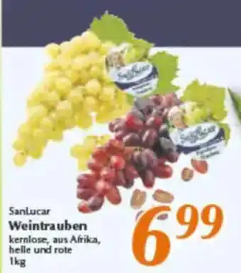 inkoop Sanlucar Weintrauben Angebot