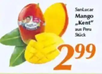 inkoop SanLucar Mango „Kent" Angebot