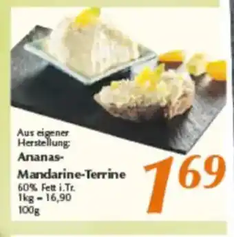 inkoop Ananas- Mandarine-Terrine Angebot